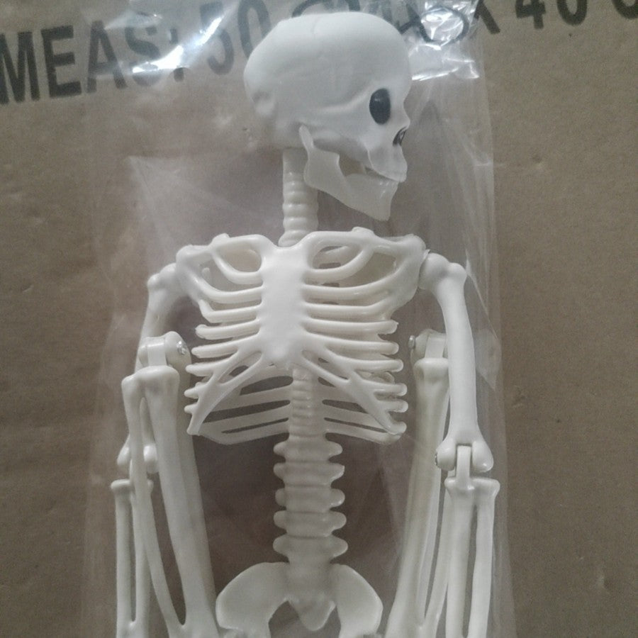 Articulated Adjustable Halloween Skeleton Decor